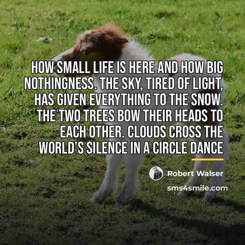 “How small life is here and how big nothingness. The…” quote by Robert Walser