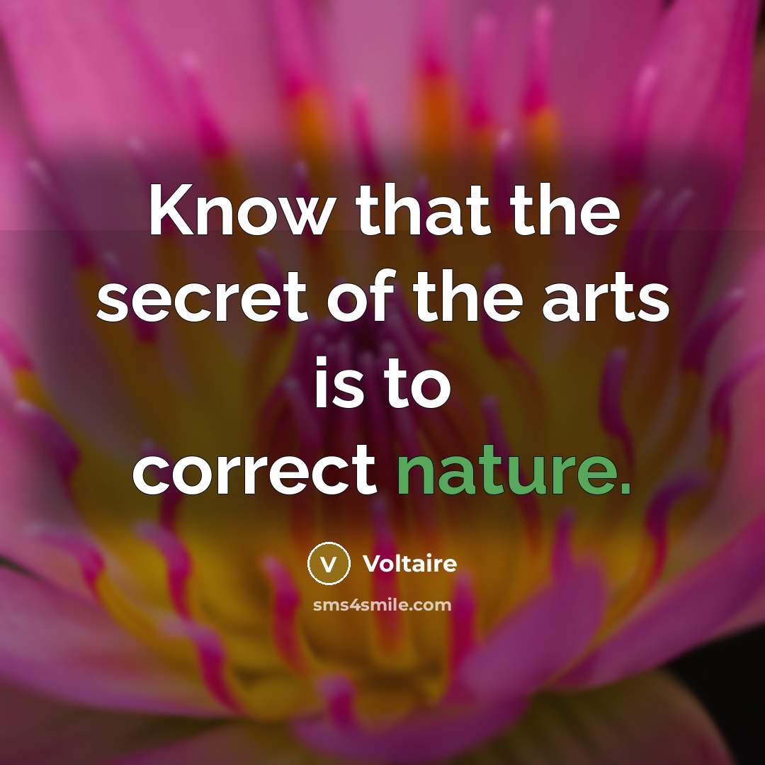 “Know that the secret of the arts is to correct…” quote by Voltaire