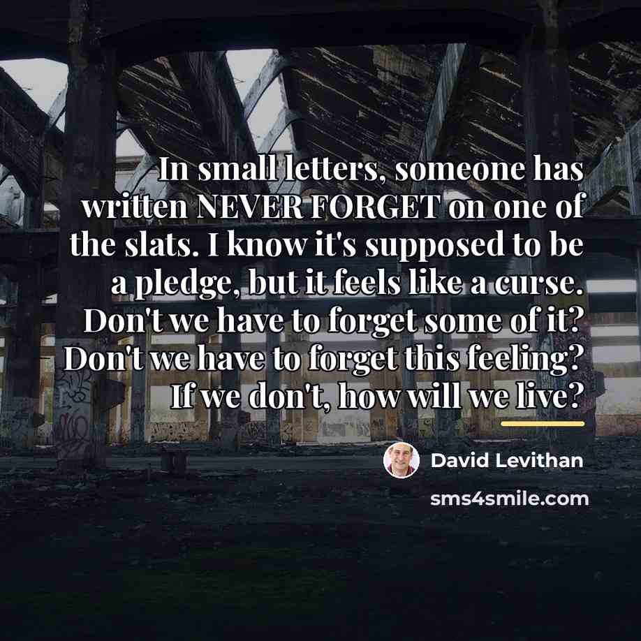 “In small letters, someone has written NEVER FORGET on one…” quote by David Levithan
