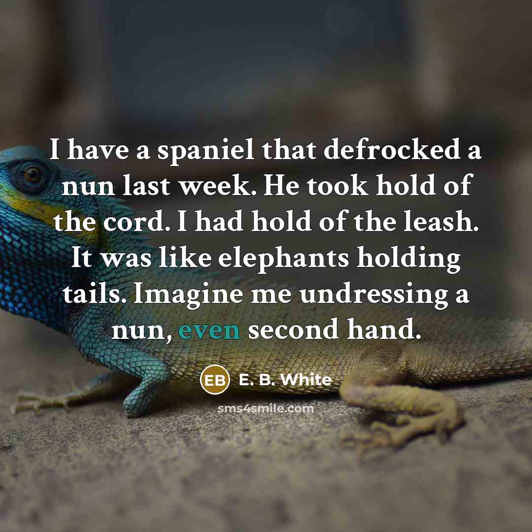 “I have a spaniel that defrocked a nun last week. He took hold of the cord. I had hold of the leash. It was like elephants holding tails. Imagine me undressing a nun, even second hand.” quote by E. B. White