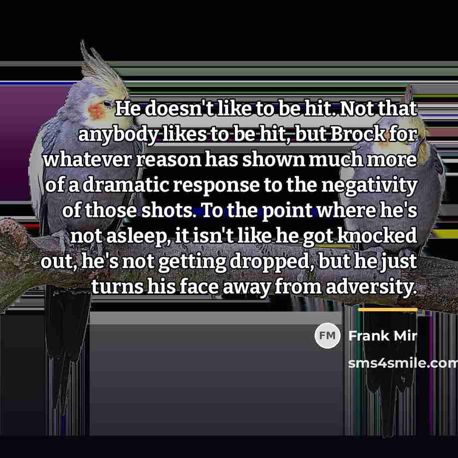 “He doesn't like to be hit. Not that anybody likes…” quote by Frank Mir