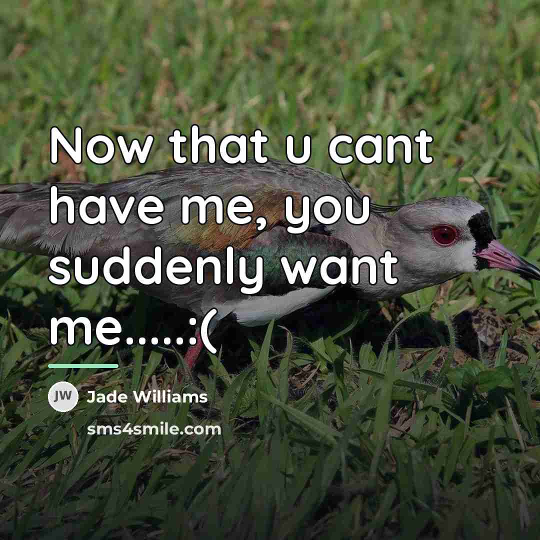 “Now that u cant have me, you suddenly want me.....:(…” quote by Jade Williams