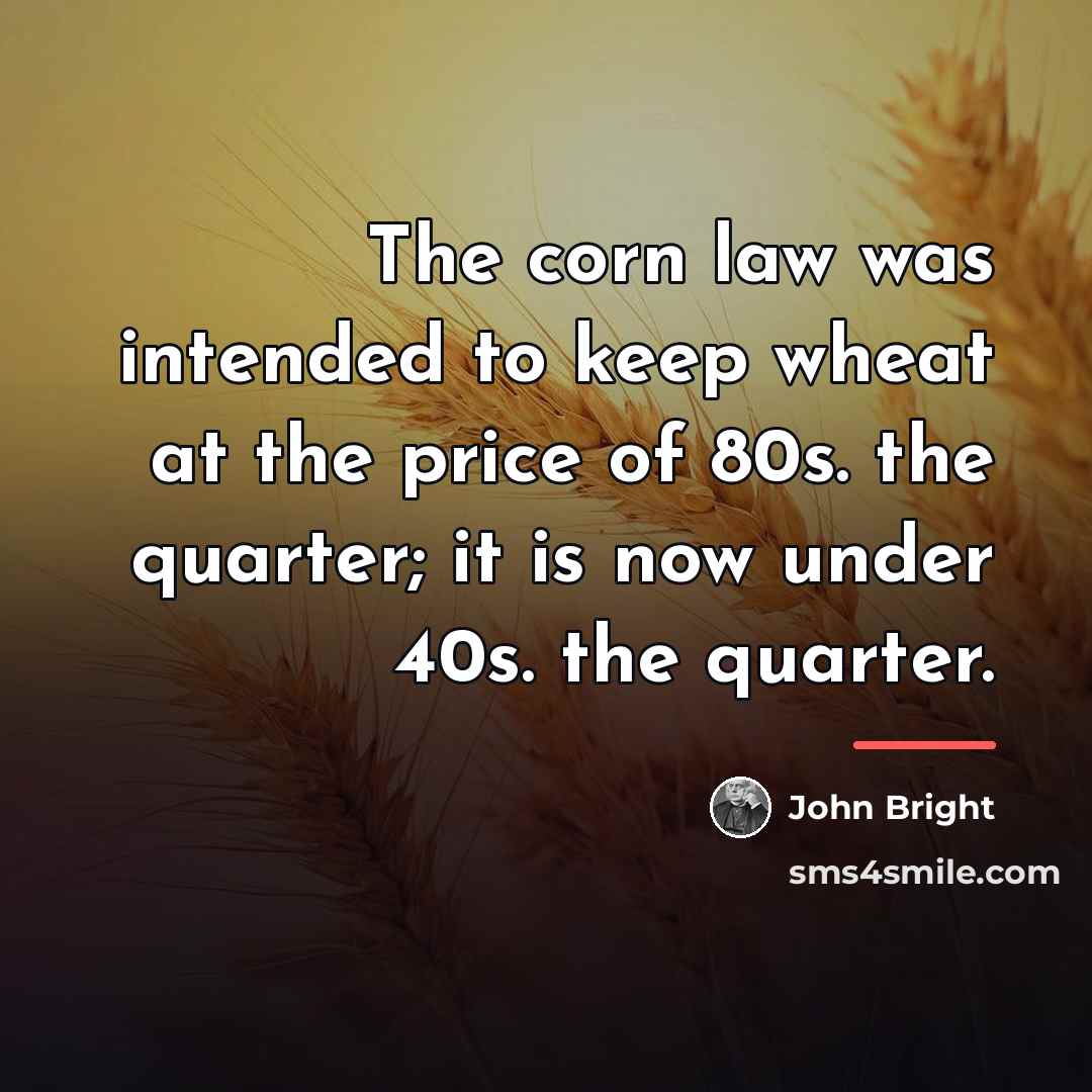 “The corn law was intended to keep wheat at the…” quote by John Bright