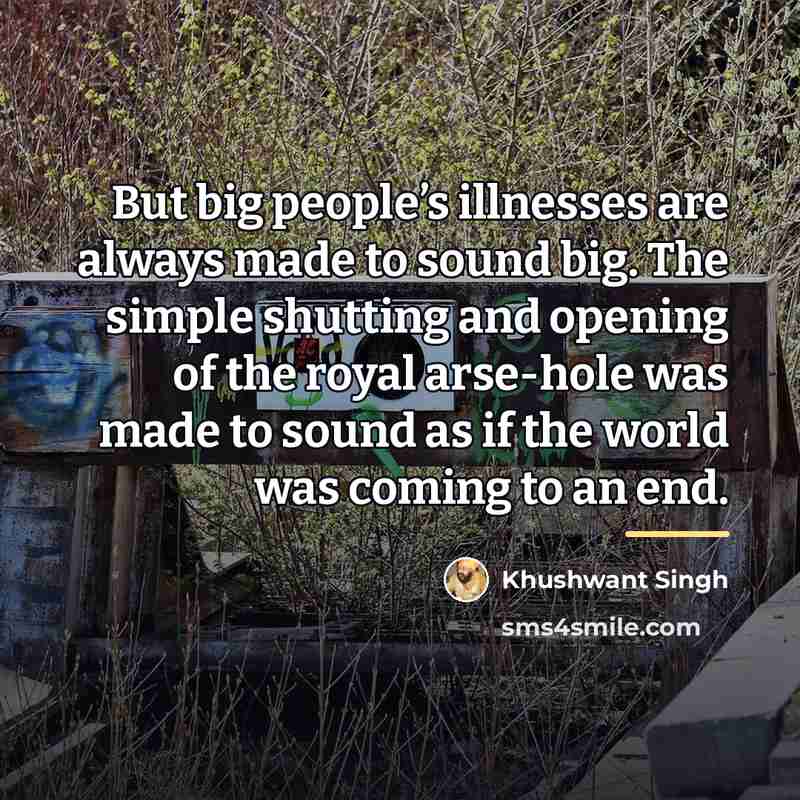 “But big people’s illnesses are always made to sound big.…” quote by Khushwant Singh