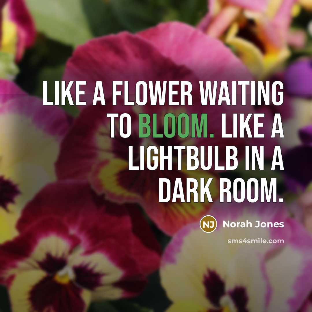 “Like a flower waiting to bloom. Like a lightbulb in…” quote by Norah Jones