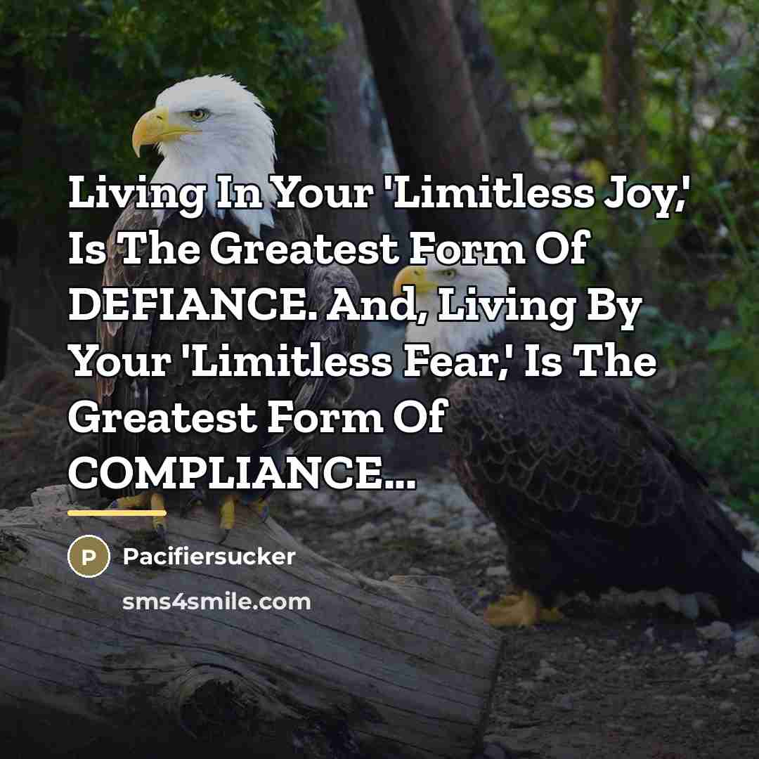 “Living In Your 'Limitless Joy,' Is The Greatest Form Of…” quote by Pacifiersucker