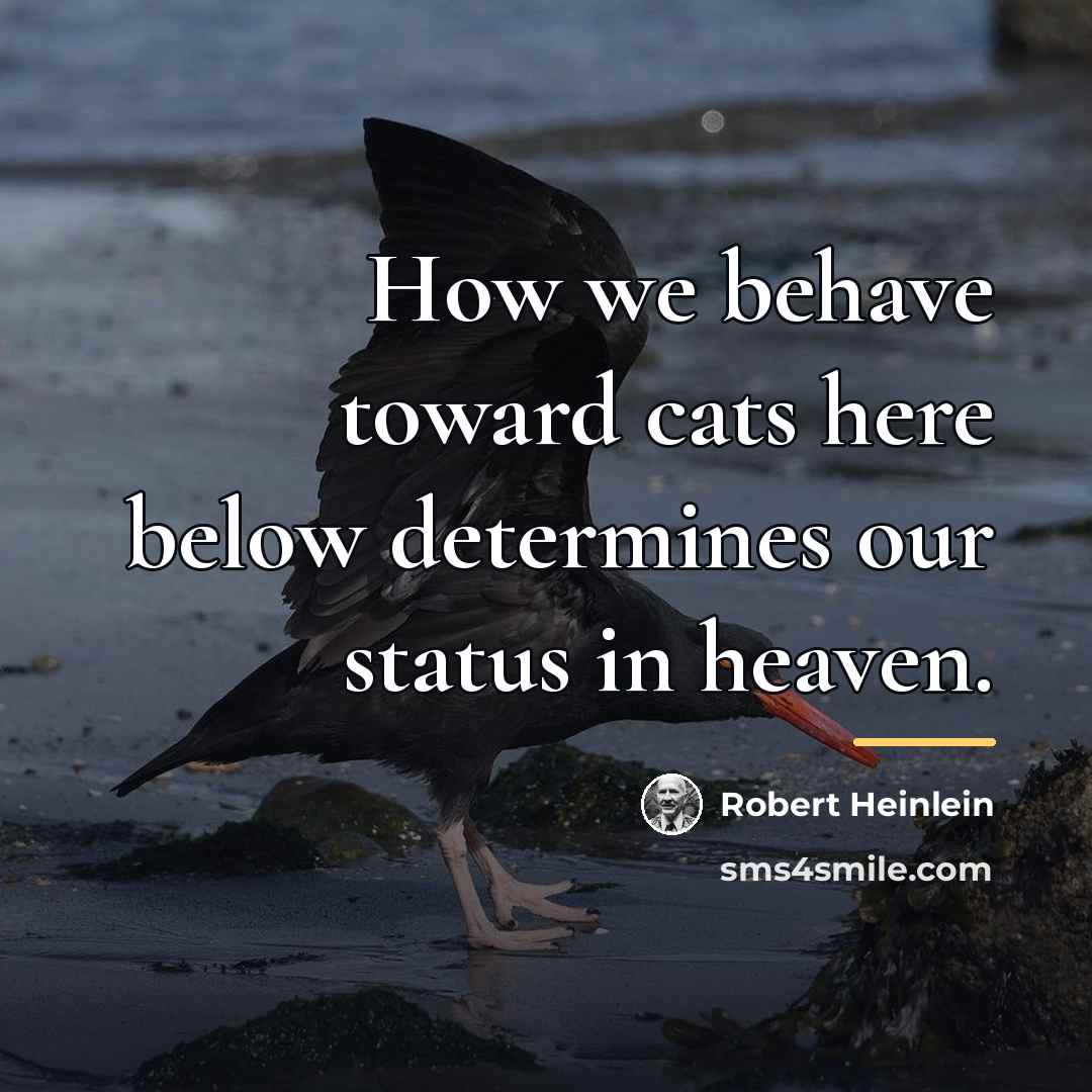 “How we behave toward cats here below determines our status…” quote by Robert Heinlein