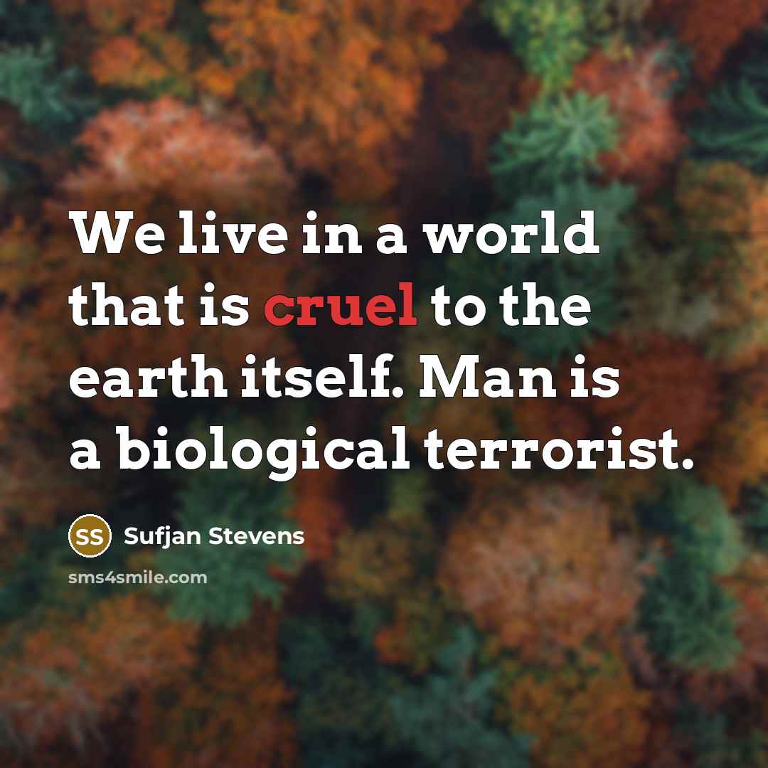 “We live in a world that is cruel to the…” quote by Sufjan Stevens