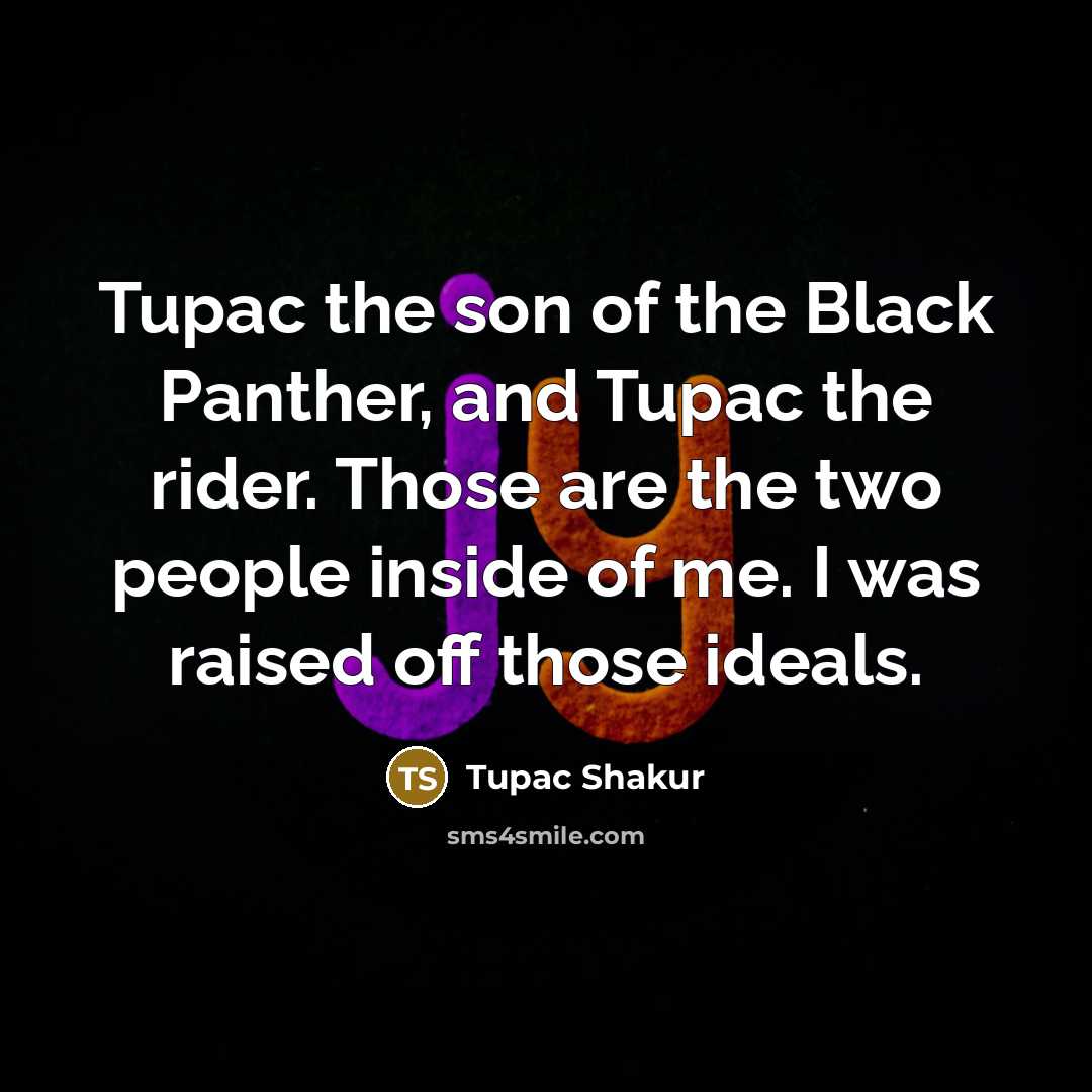 “Tupac the son of the Black Panther, and Tupac the…” quote by Tupac Shakur