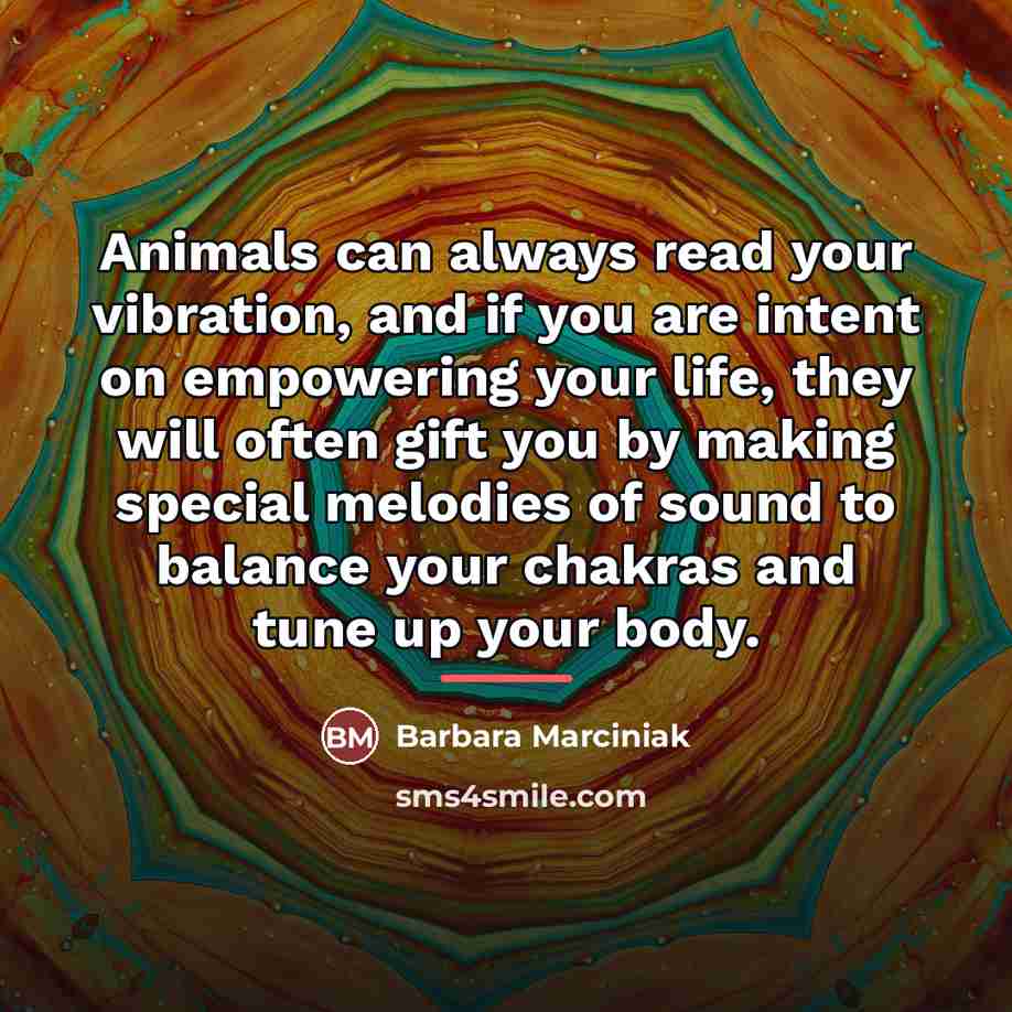 “Animals can always read your vibration, and if you are…” quote by Barbara Marciniak