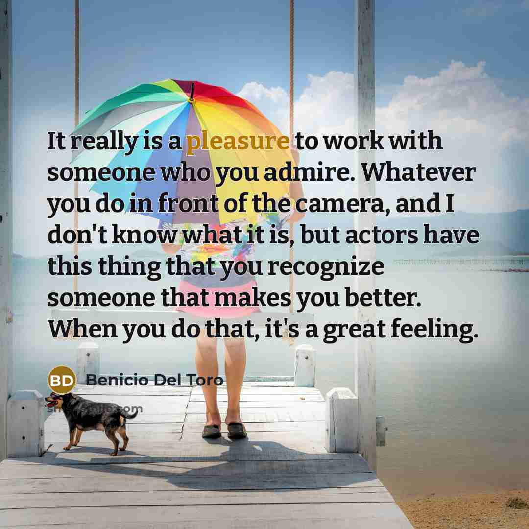 “It really is a pleasure to work with someone who…” quote by Benicio Del Toro