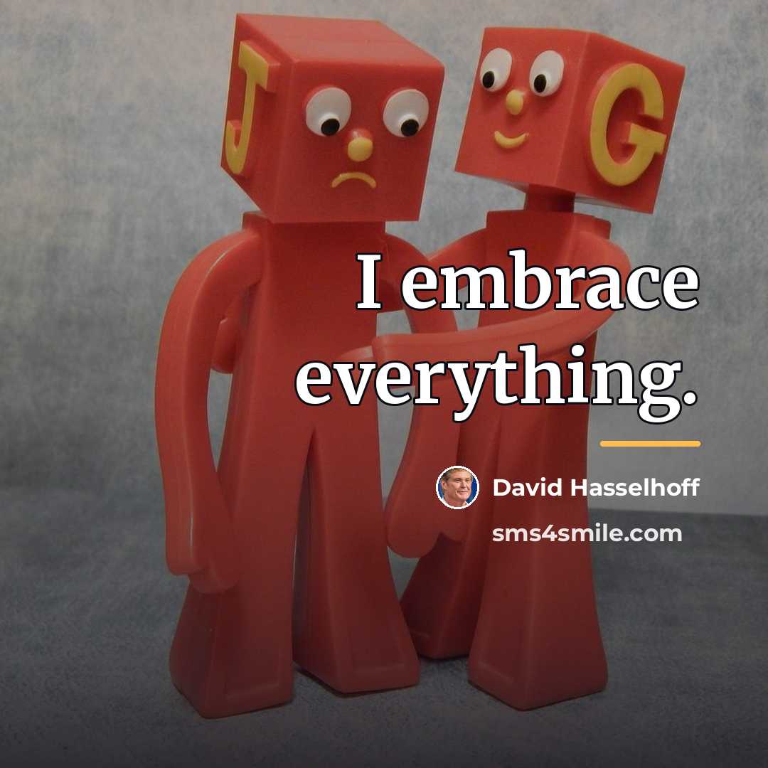 “I embrace everything.…” quote by David Hasselhoff