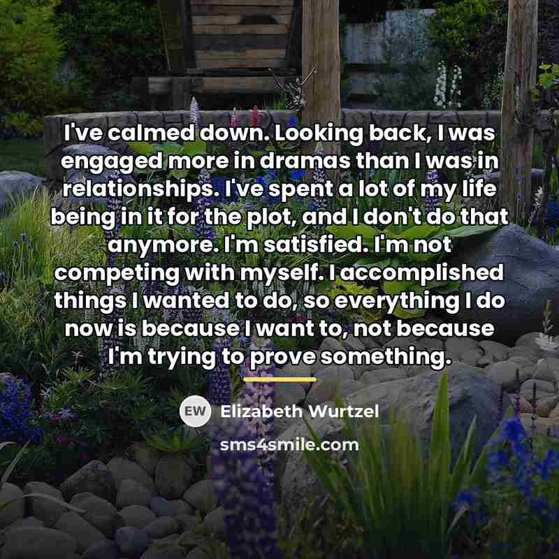 “I've calmed down. Looking back, I was engaged more in…” quote by Elizabeth Wurtzel