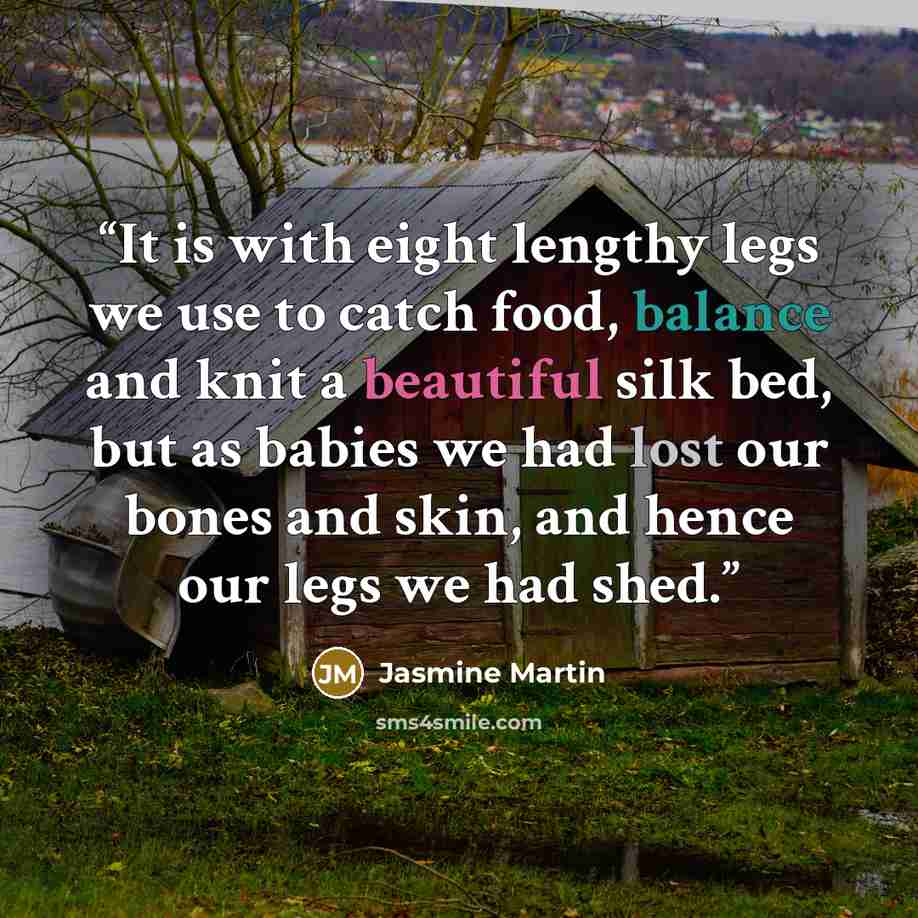 “It is with eight lengthy legs we use to catch food, balance and knit a beautiful silk bed, but as babies we had lost our bones and skin, and hence our legs we had shed.” quote by Jasmine Martin