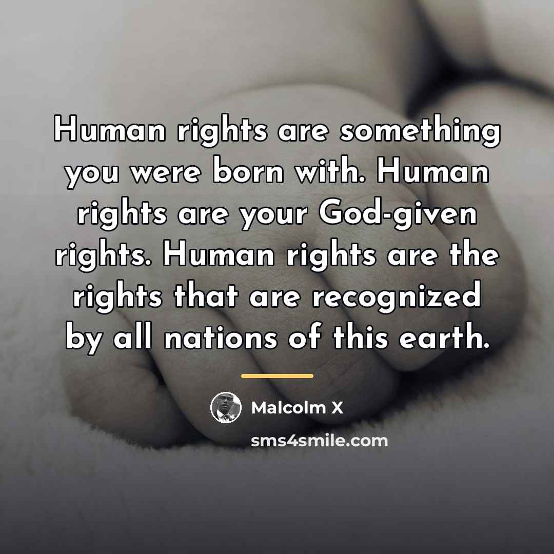 “Human rights are something you were born with. Human rights…” quote by Malcolm X