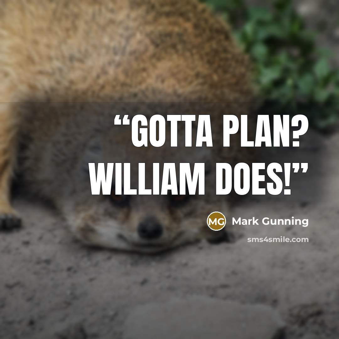 “Gotta plan? William does!” quote by Mark Gunning