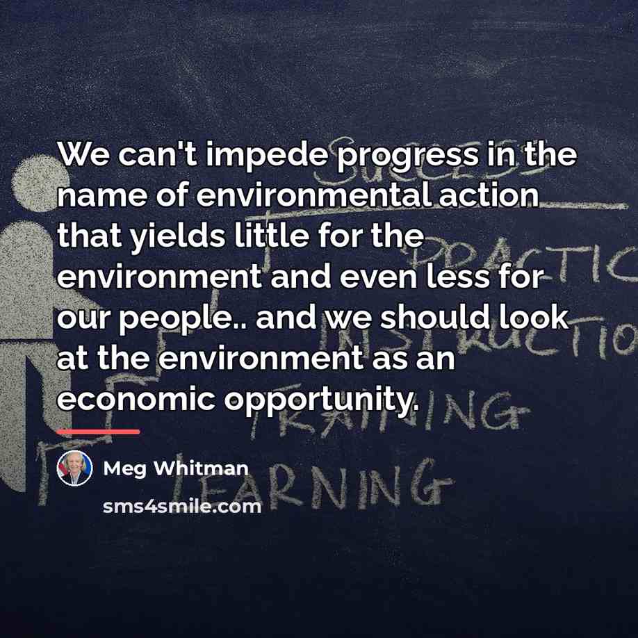 “We can't impede progress in the name of environmental action…” quote by Meg Whitman