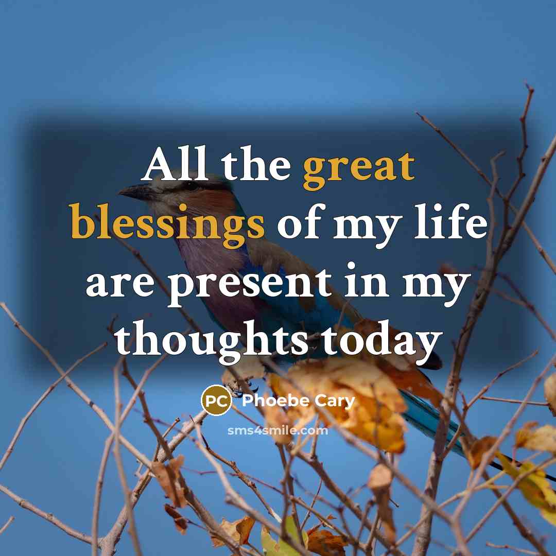 “All the great blessings of my life are present in…” quote by Phoebe Cary