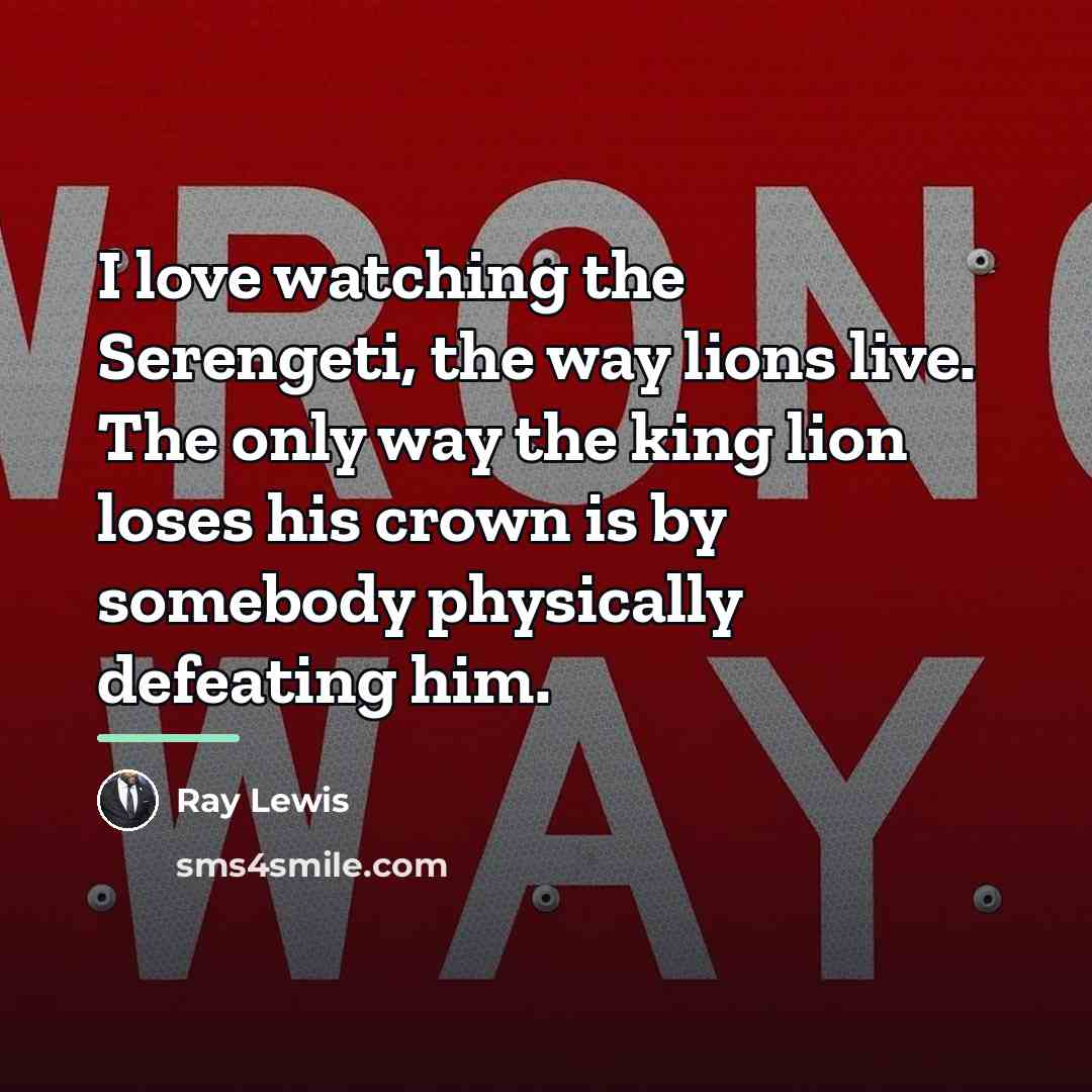 “I love watching the Serengeti, the way lions live. The…” quote by Ray Lewis