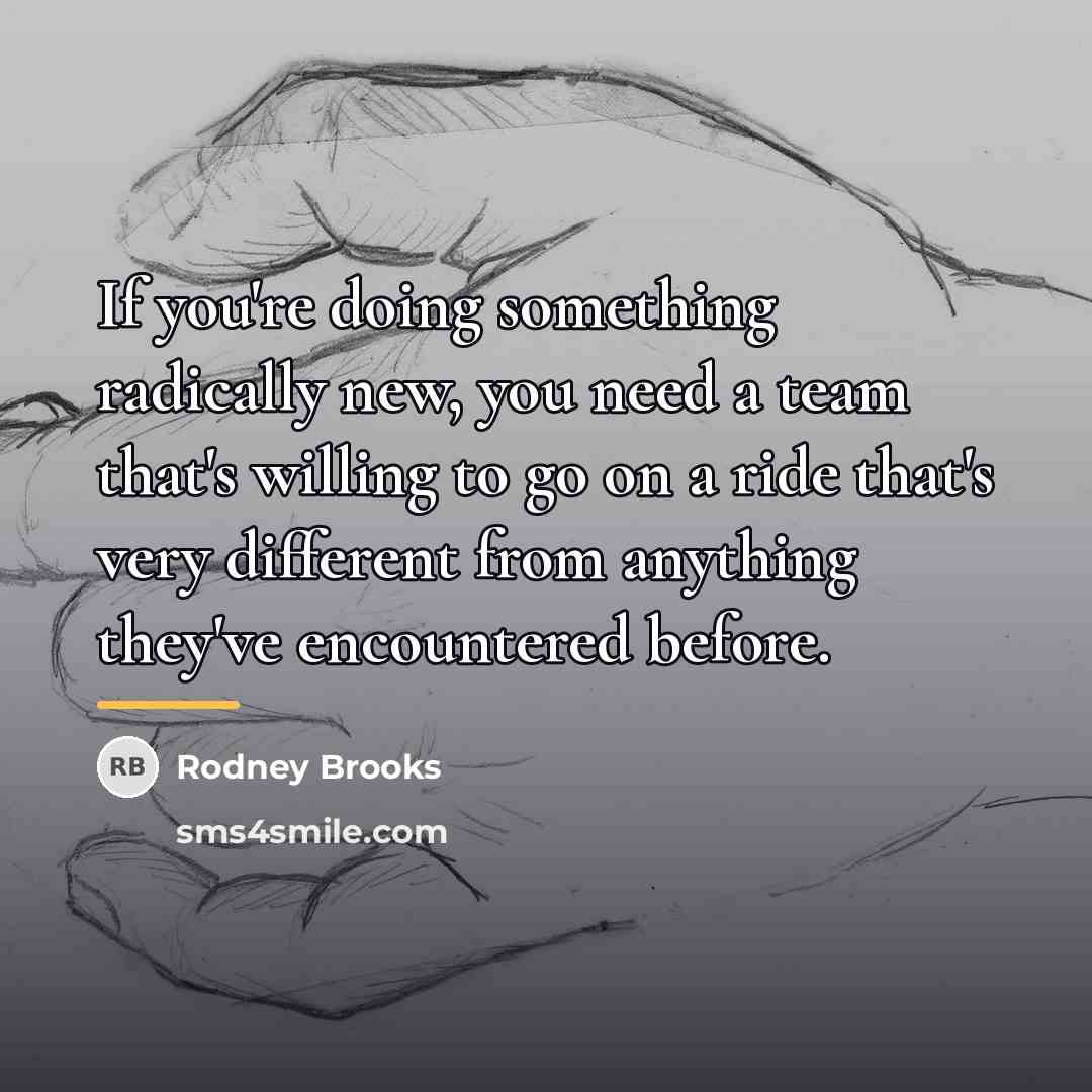 “If you're doing something radically new, you need a team…” quote by Rodney Brooks