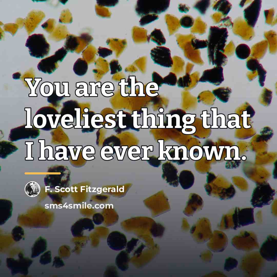 “You are the loveliest thing that I have ever known.…” quote by F. Scott Fitzgerald