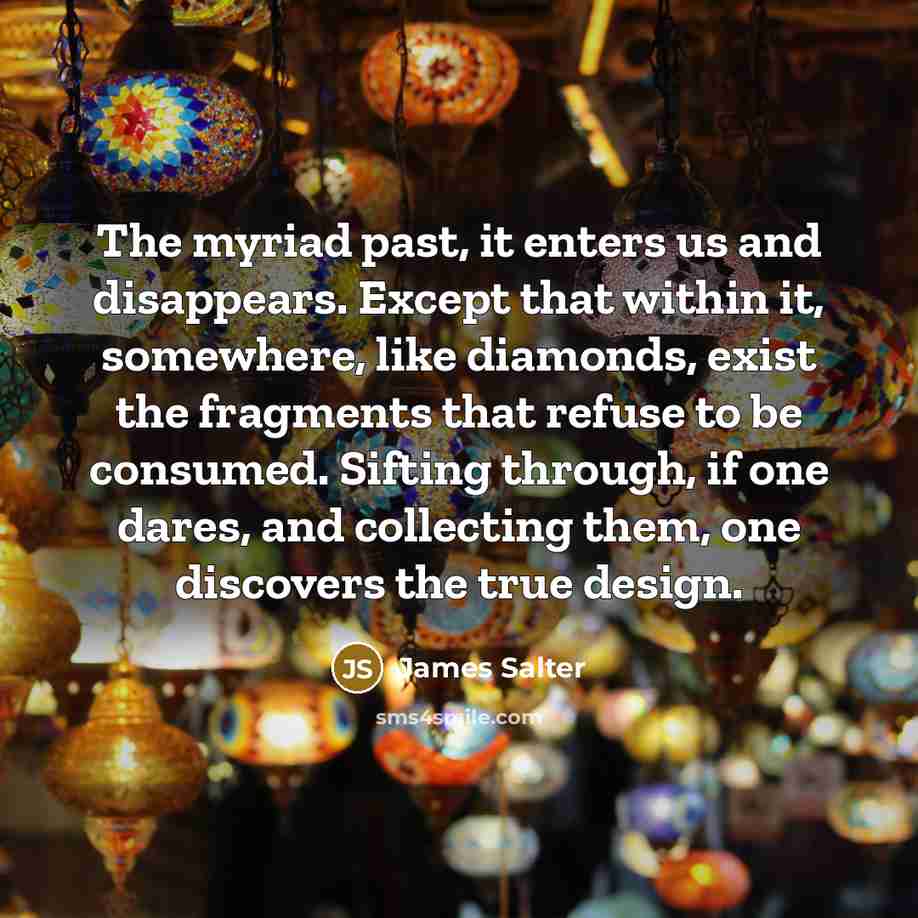 “The myriad past, it enters us and disappears. Except that…” quote by James Salter