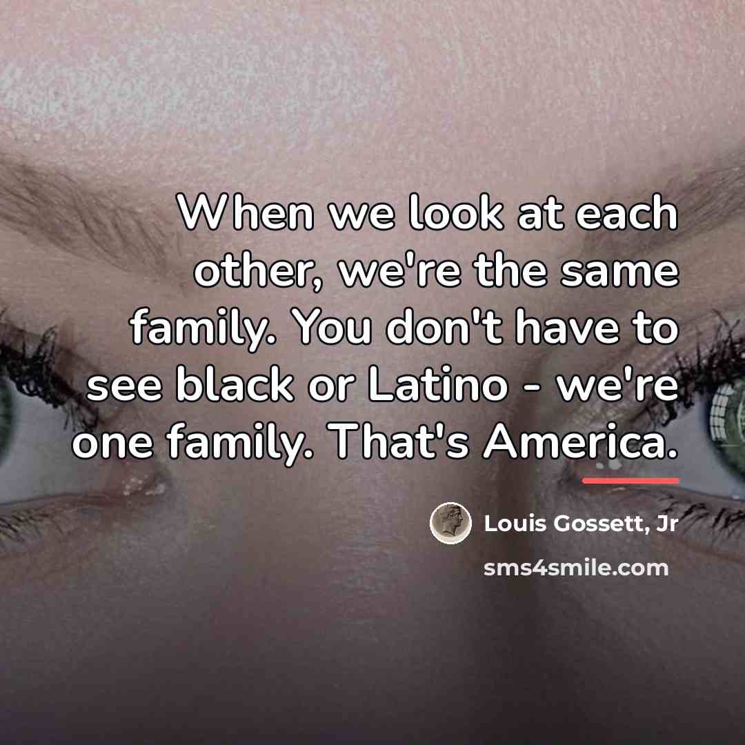 “When we look at each other, we're the same family.…” quote by Louis Gossett, Jr