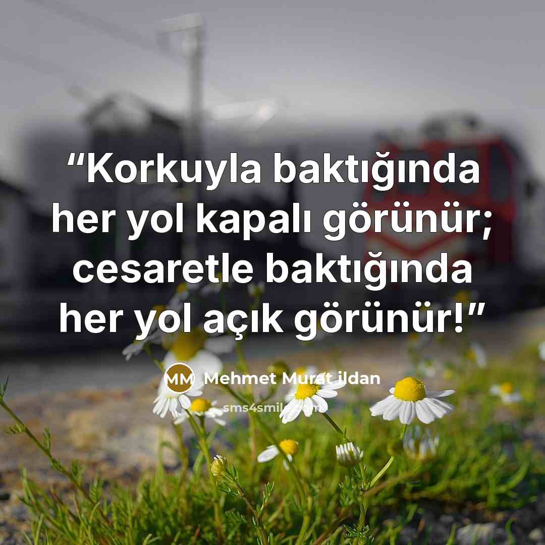 “Korkuyla baktığında her yol kapalı görünür; cesaretle baktığında her yol açık görünür!” quote by Mehmet Murat ildan