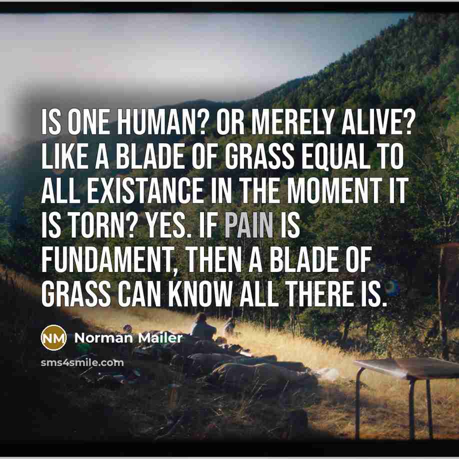 “Is one human? Or merely alive? Like a blade of…” quote by Norman Mailer