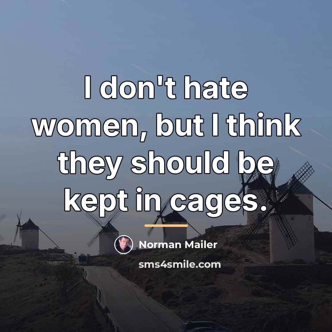 “I don't hate women, but I think they should be…” quote by Norman Mailer