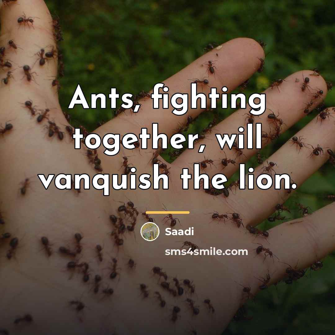 “Ants, fighting together, will vanquish the lion.…” quote by Saadi