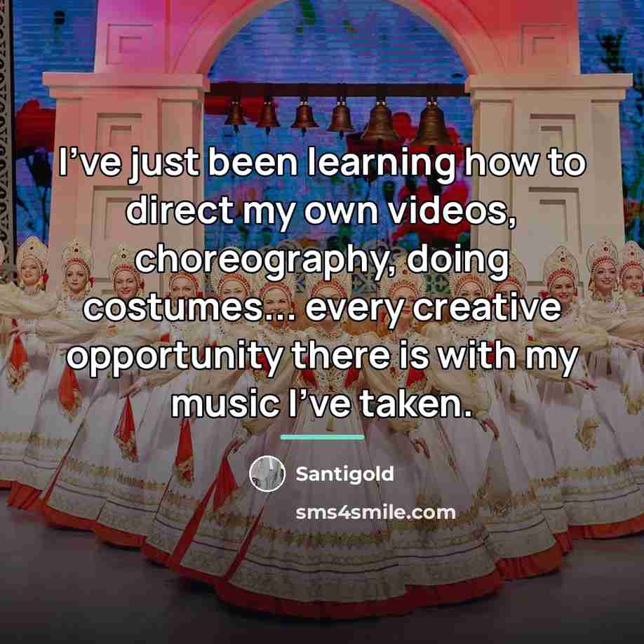 “I've just been learning how to direct my own videos,…” quote by Santigold