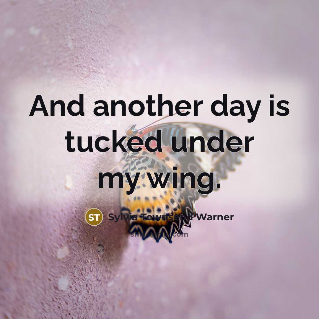 “And another day is tucked under my wing.…” quote by Sylvia Townsend Warner