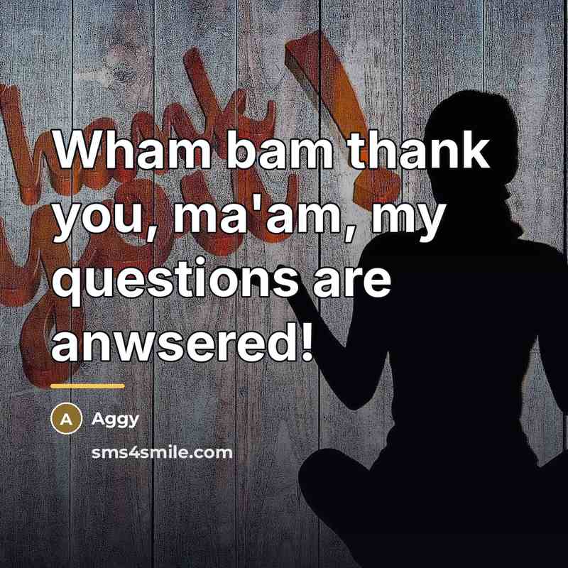 “Wham bam thank you, ma'am, my questions are anwsered!…” quote by Aggy