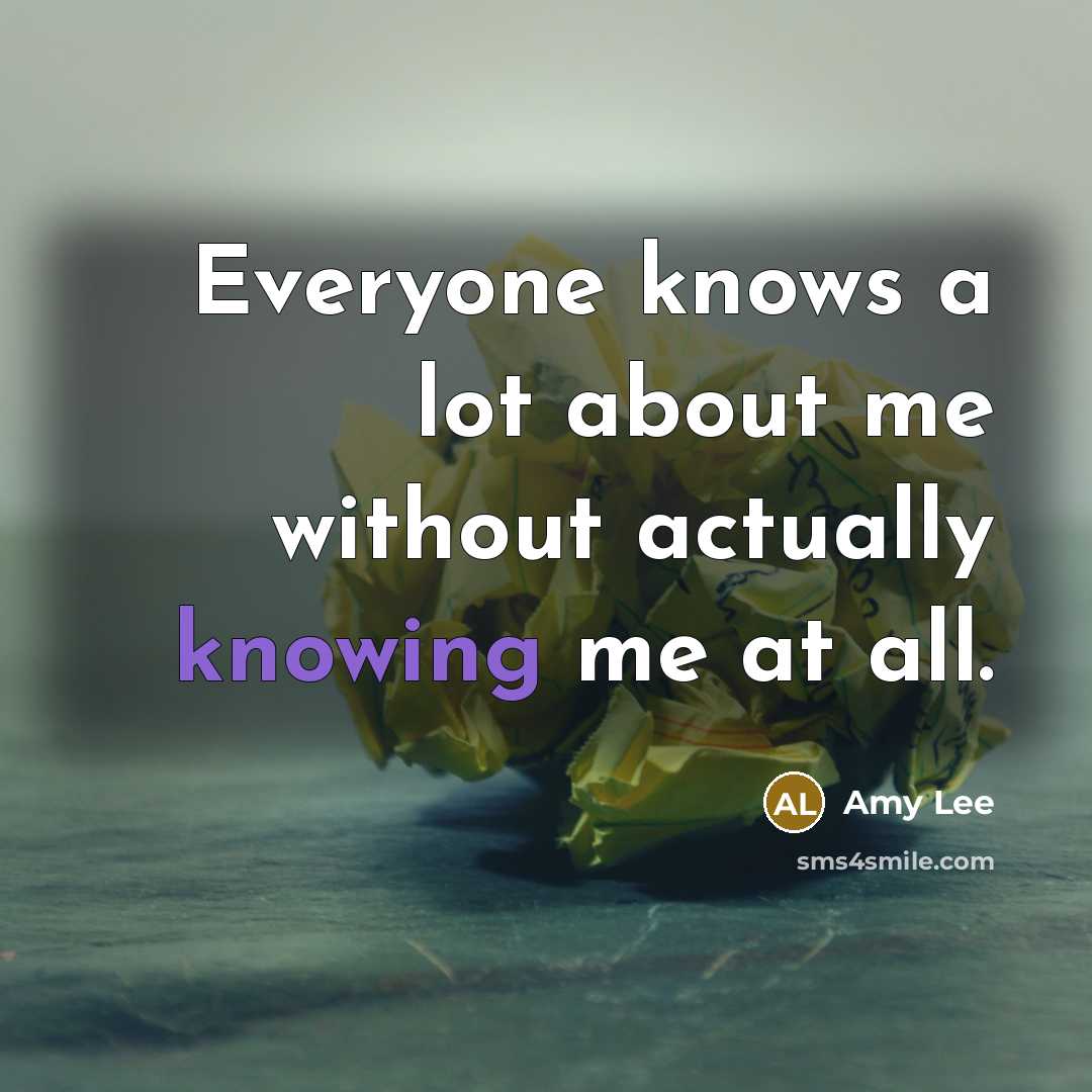 “Everyone knows a lot about me without actually knowing me at all.” quote by Amy Lee