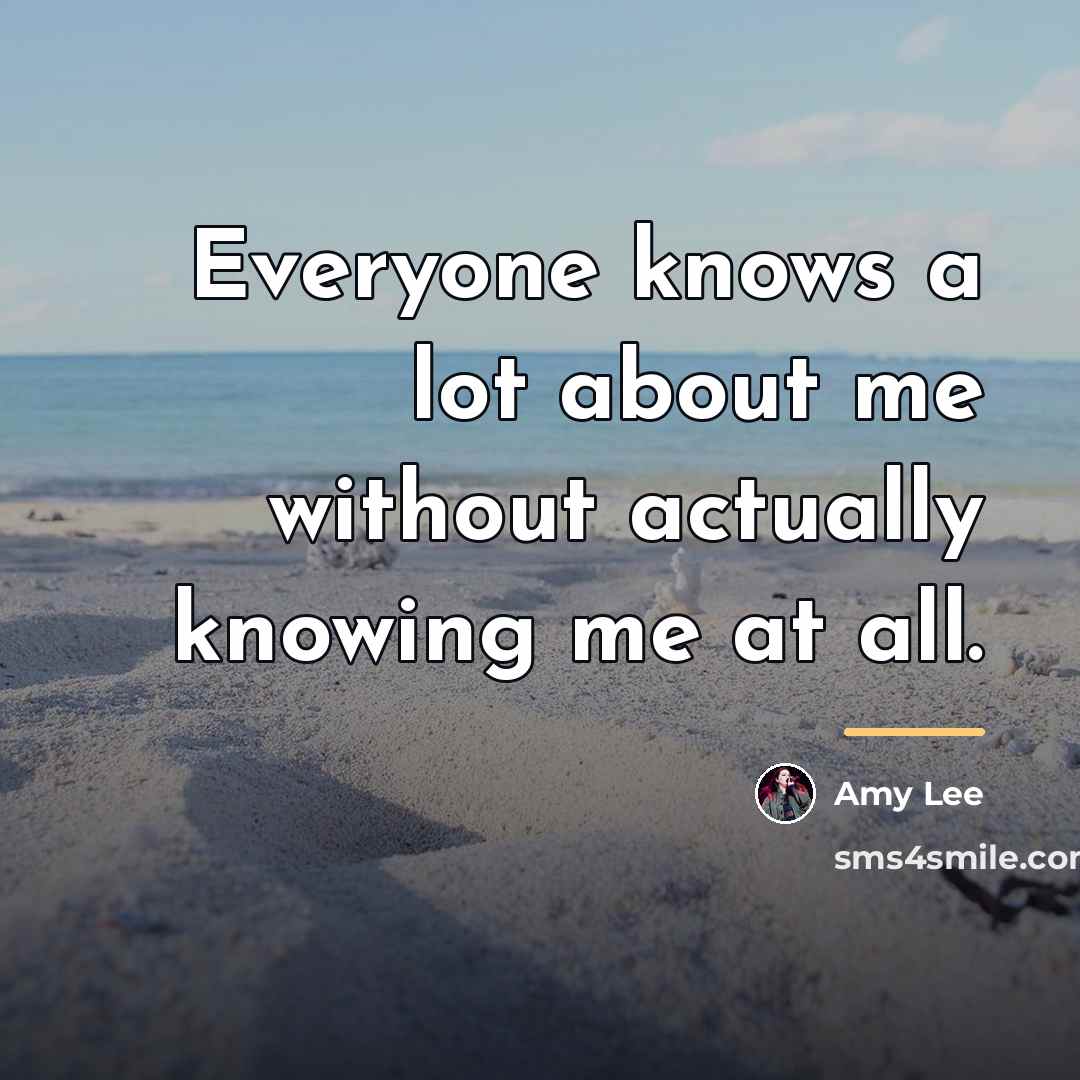 “Everyone knows a lot about me without actually knowing me…” quote by Amy Lee