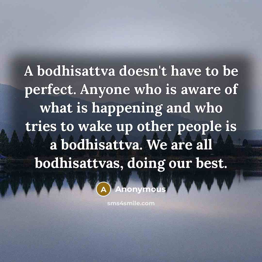 “A bodhisattva doesn't have to be perfect. Anyone who is…” quote by Anonymous