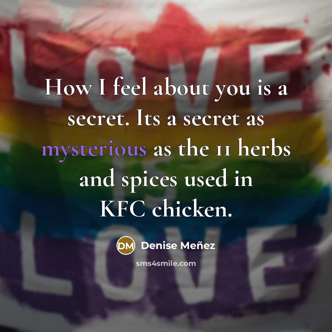 “How I feel about you is a secret. Its a…” quote by Denise Meñez