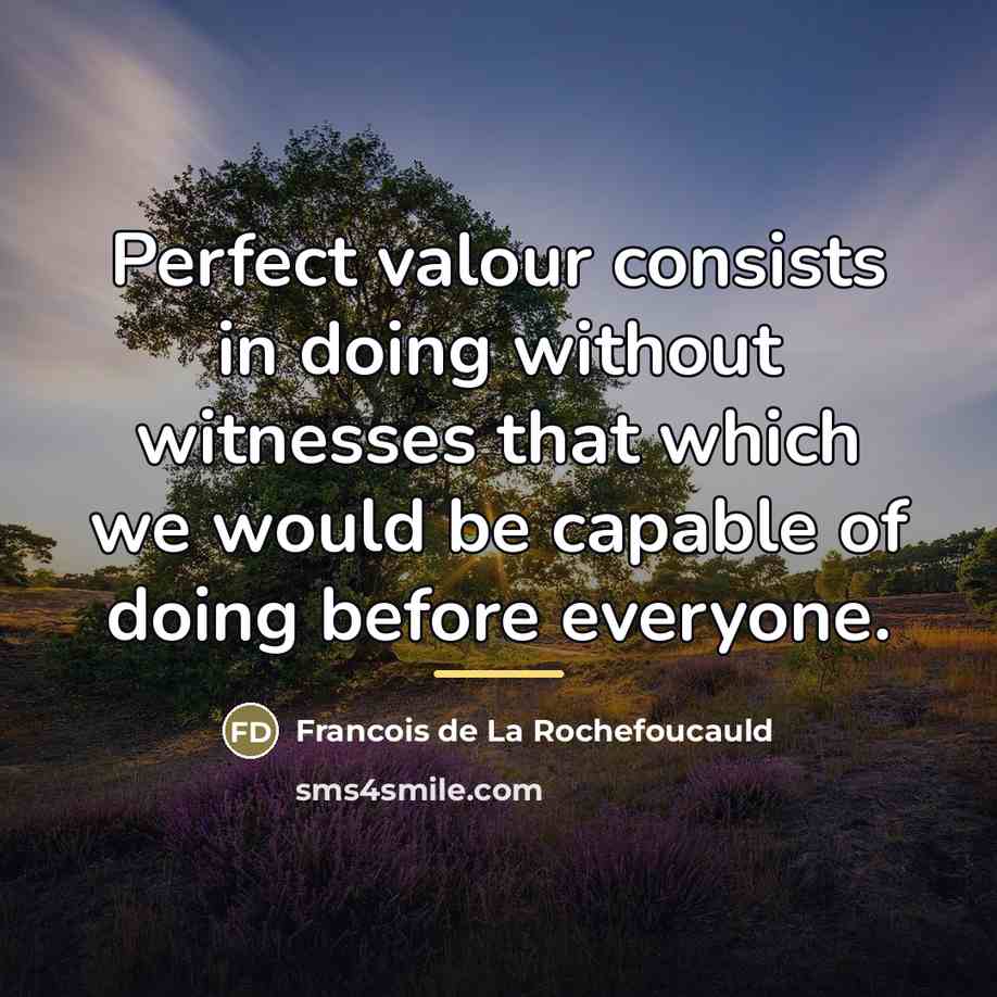 “Perfect valour consists in doing without witnesses that which we…” quote by Francois de La Rochefoucauld
