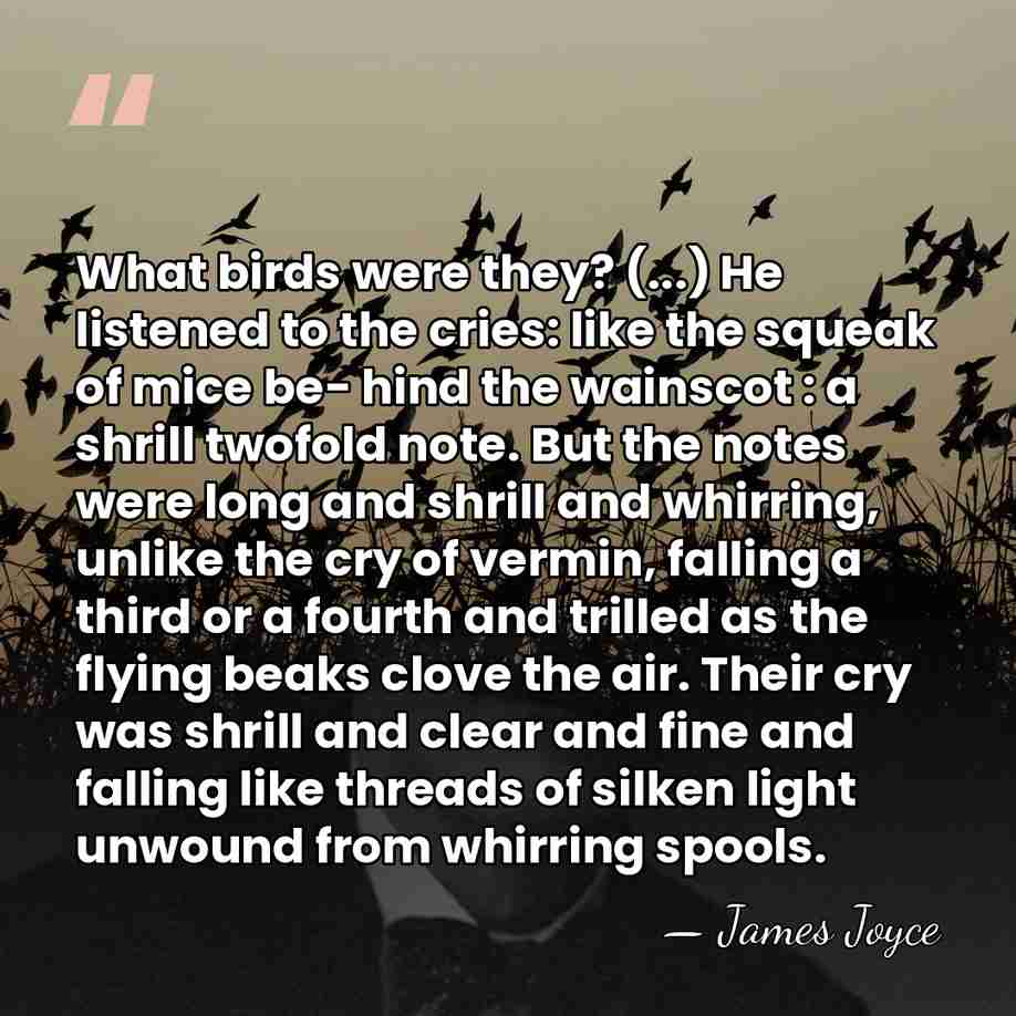 What birds were they? (...) He listened to the cries: like the&hellip; - James Joyce