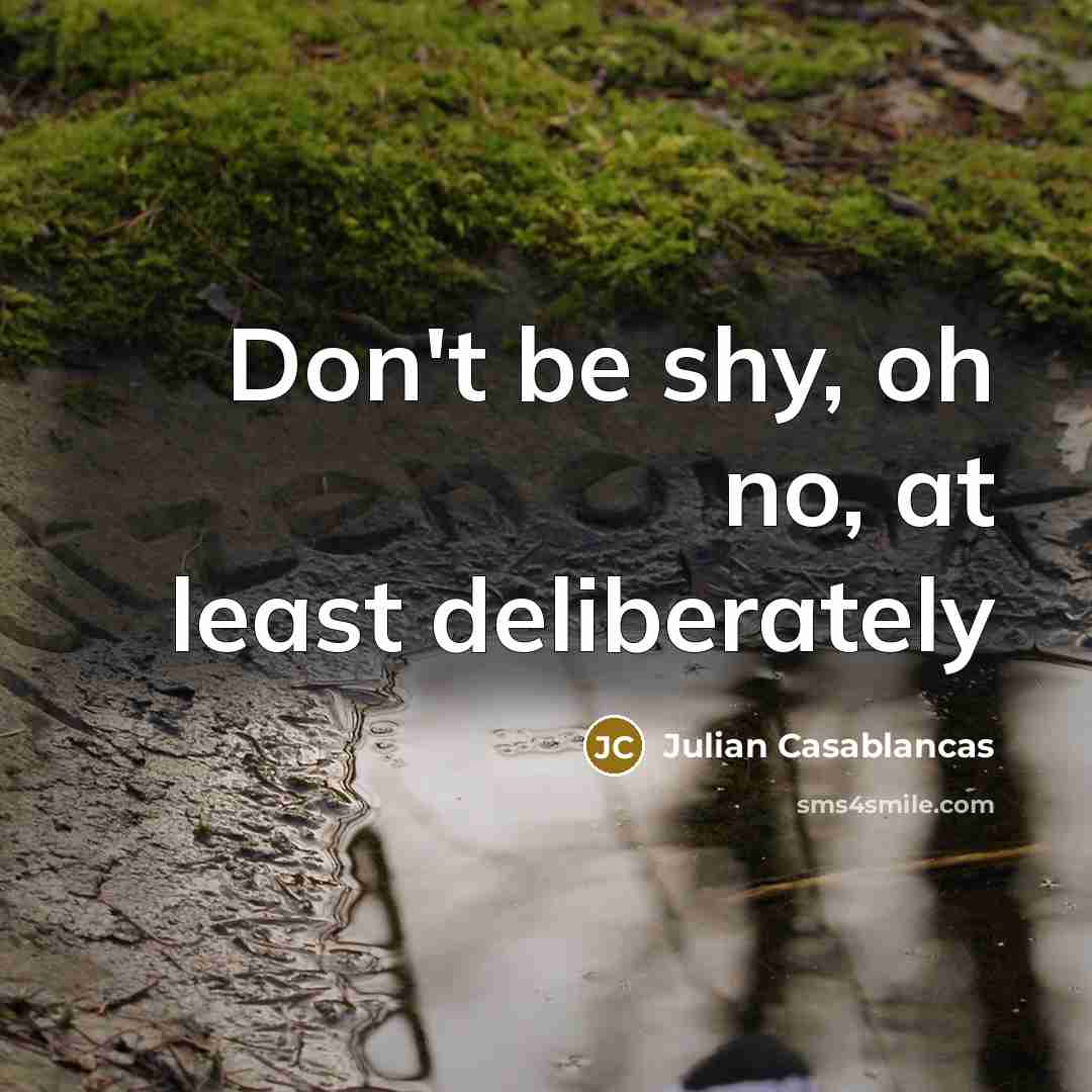 “Don't be shy, oh no, at least deliberately…” quote by Julian Casablancas