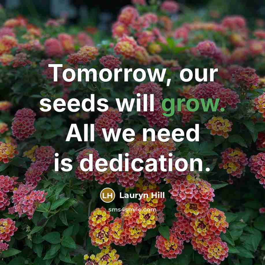 “Tomorrow, our seeds will grow. All we need is dedication.…” quote by Lauryn Hill