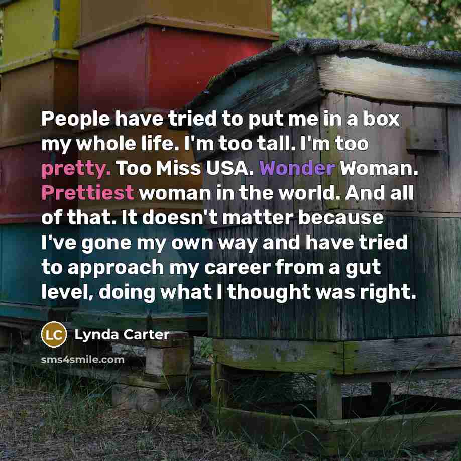 “People have tried to put me in a box my…” quote by Lynda Carter