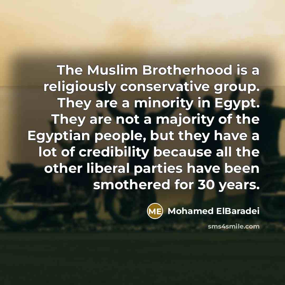 “The Muslim Brotherhood is a religiously conservative group. They are…” quote by Mohamed ElBaradei