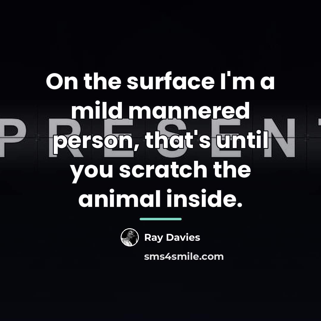 “On the surface I'm a mild mannered person, that's until…” quote by Ray Davies