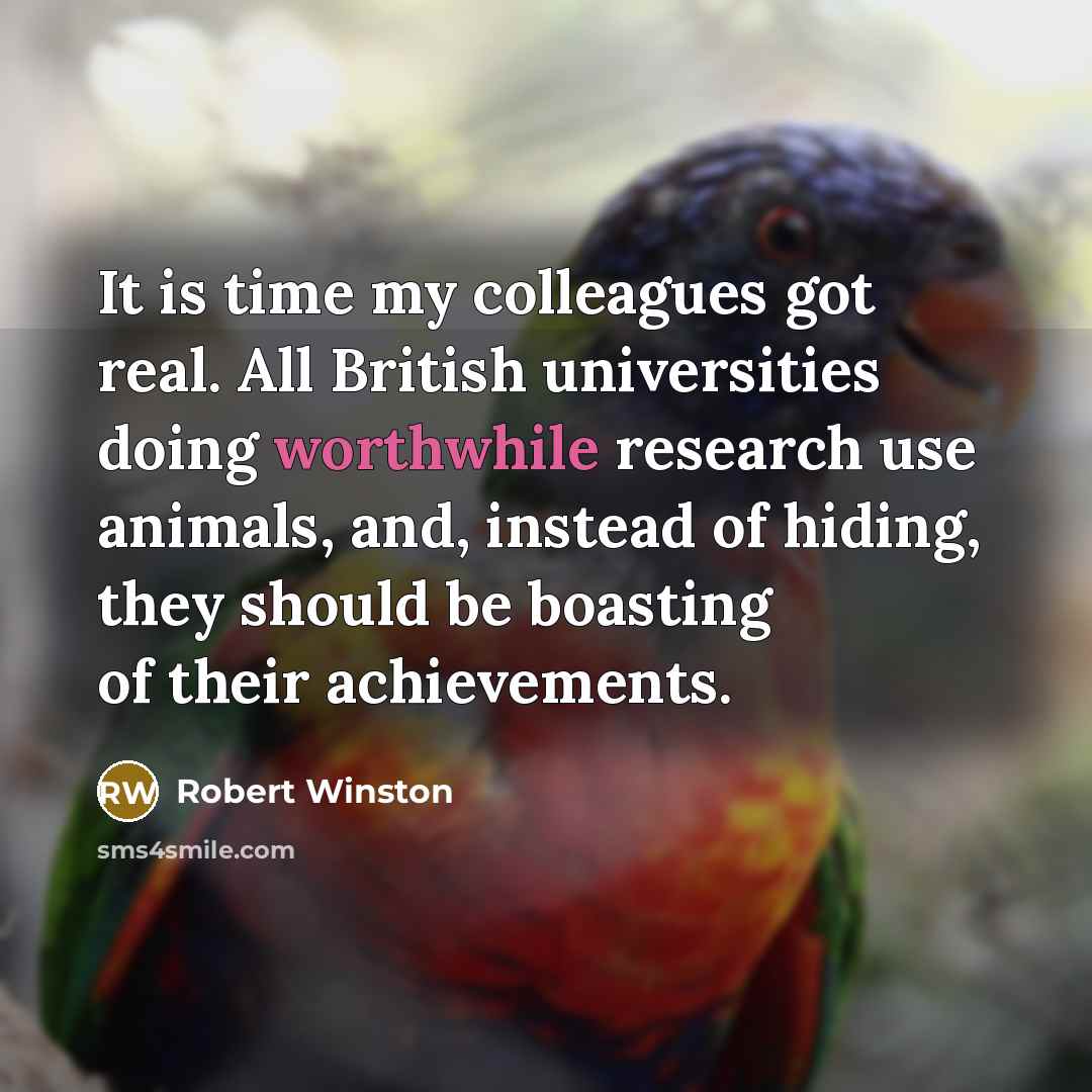 “It is time my colleagues got real. All British universities…” quote by Robert Winston