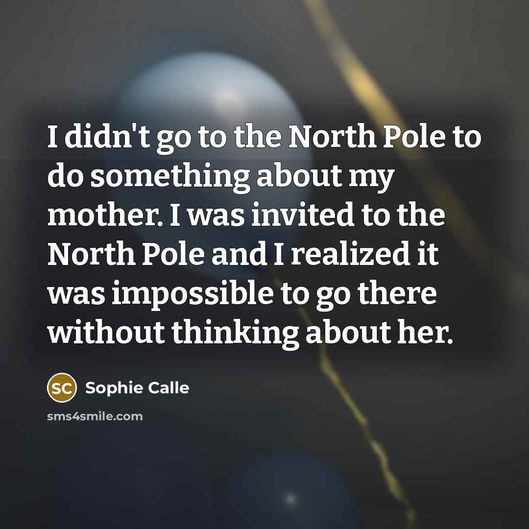 “I didn't go to the North Pole to do something…” quote by Sophie Calle