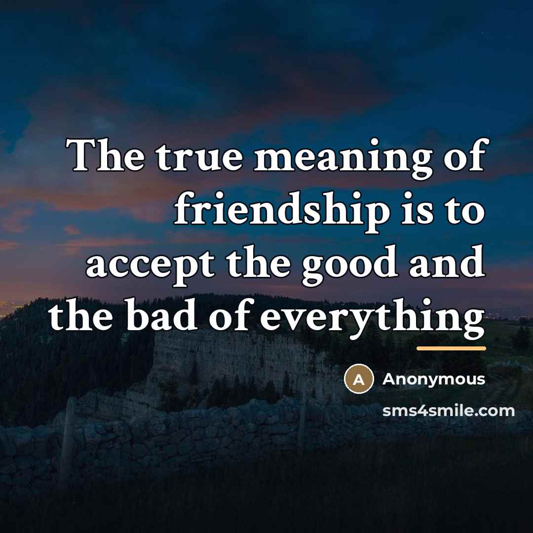 “The true meaning of friendship is to accept the good…” quote by Anonymous