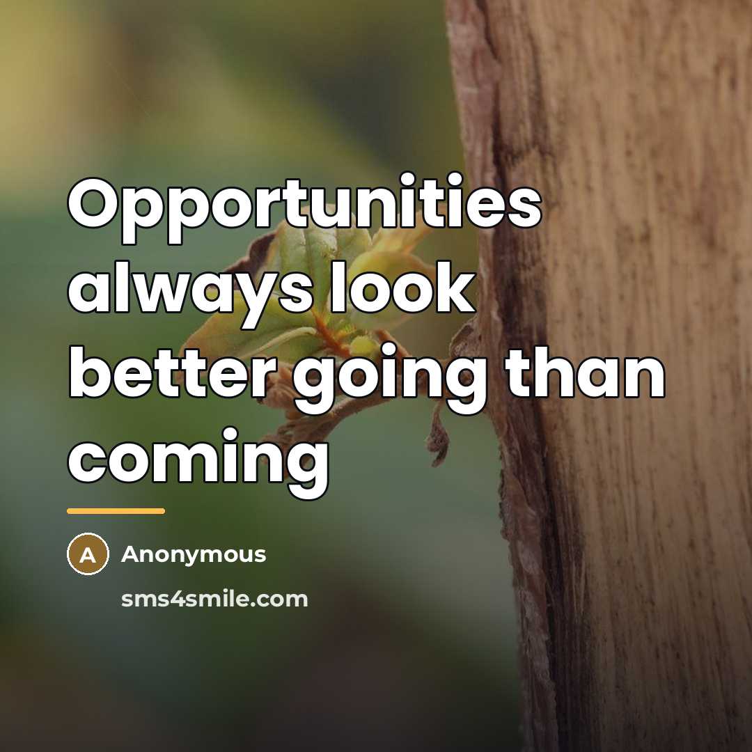 “Opportunities always look better going than coming…” quote by Anonymous