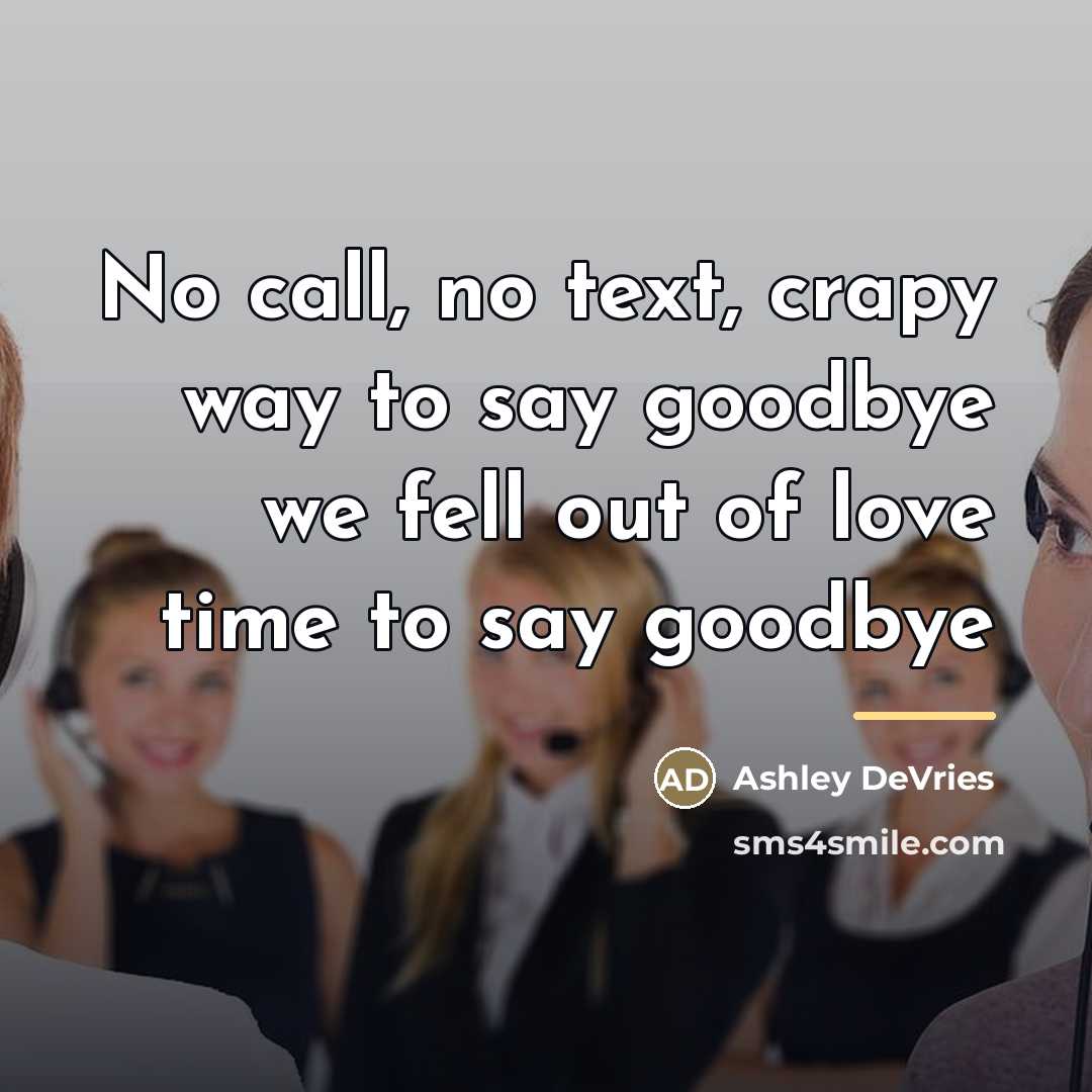 “No call, no text, crapy way to say goodbye we…” quote by Ashley DeVries